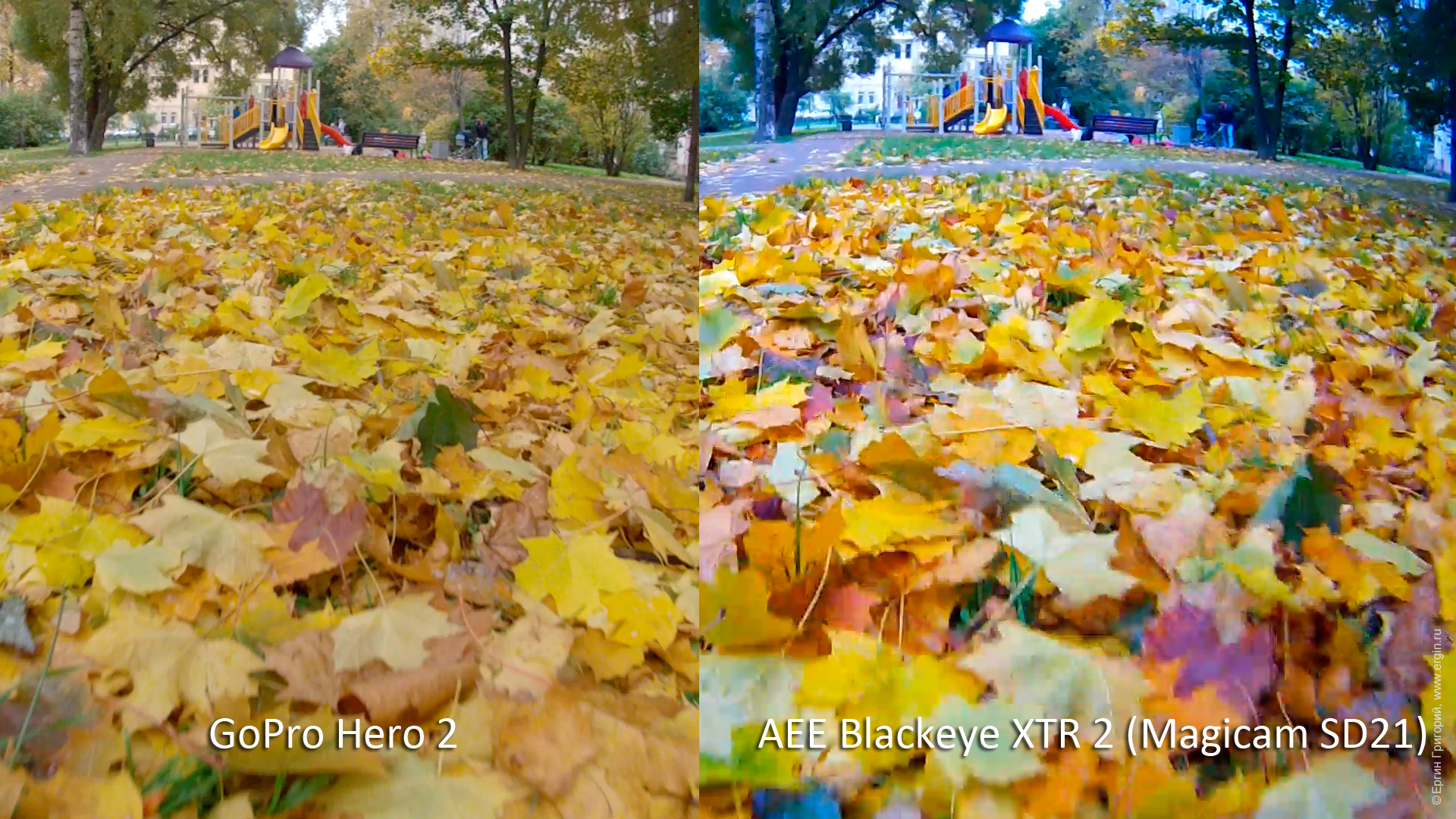 AEE Blackeye XTR 2 (AEE Magicam SD21) vs GoPro Hero 2: опавшие листья и синева