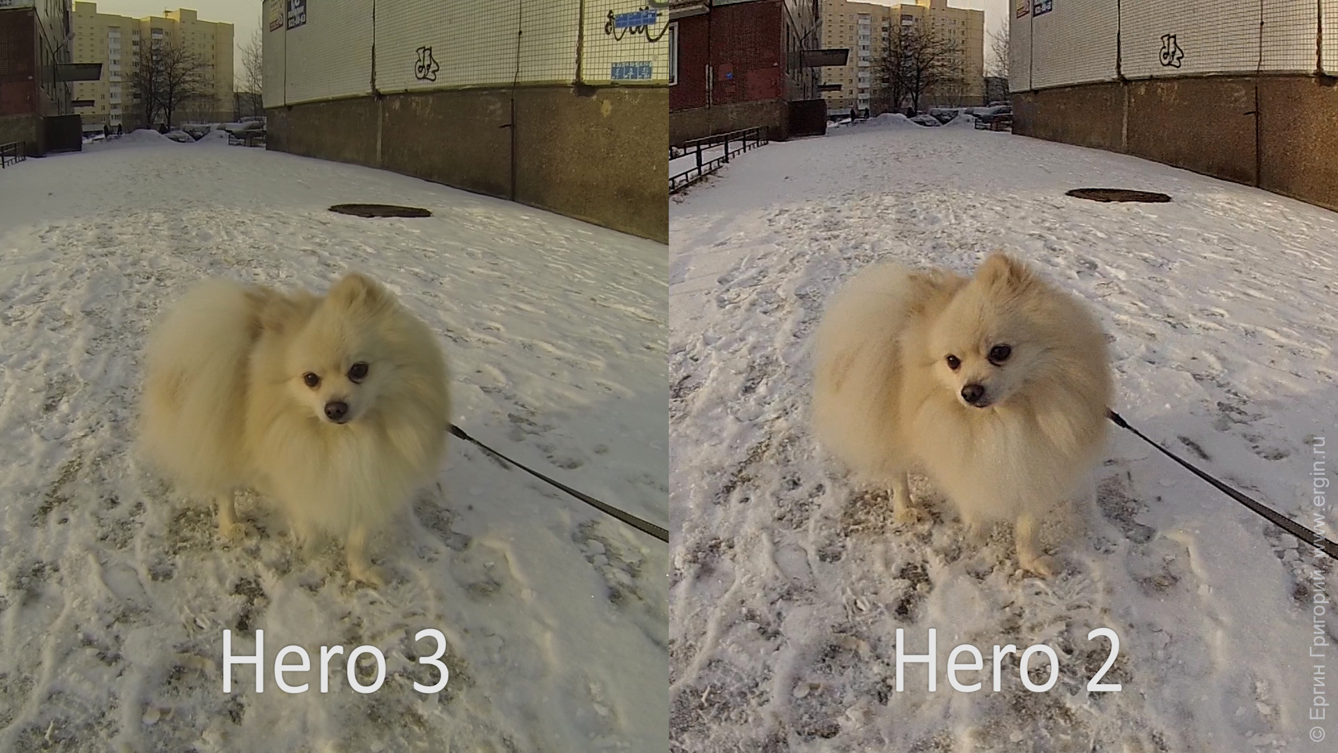 Сравнение GoPro Hero 3 и GoPro Hero 2 пушистая собачка перешарп, фильтр резкости