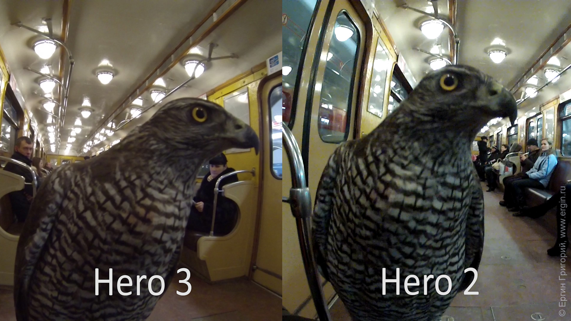 Детали оперенья у хищной птицы GoPro Hero 3 меньше шумов, чем у Hero 2