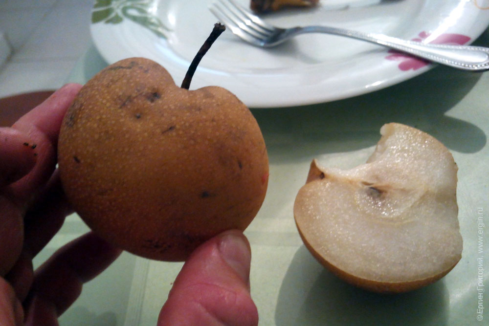 apple pear inside apple pear Грушеяблоко внутри