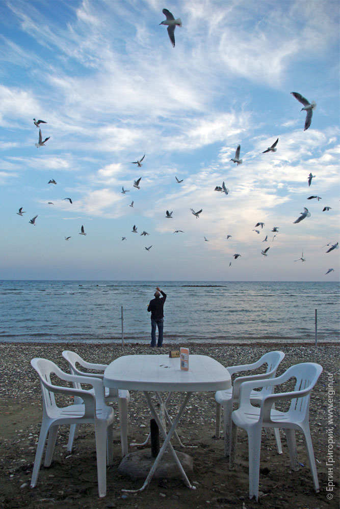 gulls Чайки над Средиземным морем