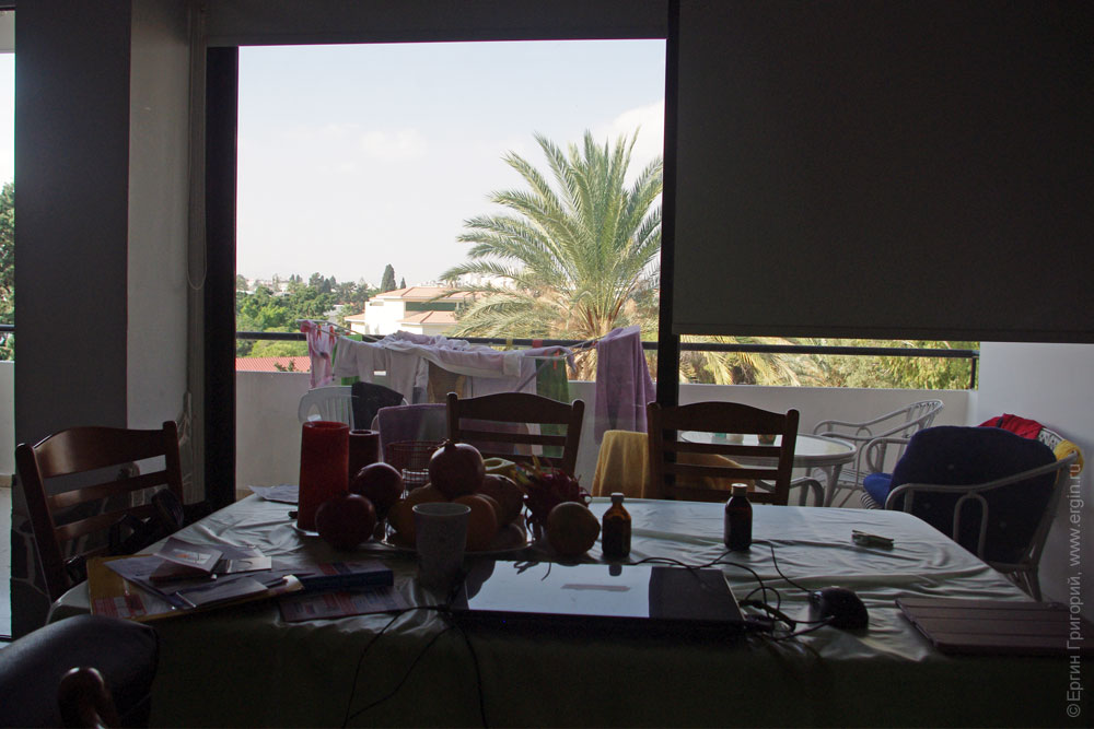 Вид из окна на пальмы Кипр