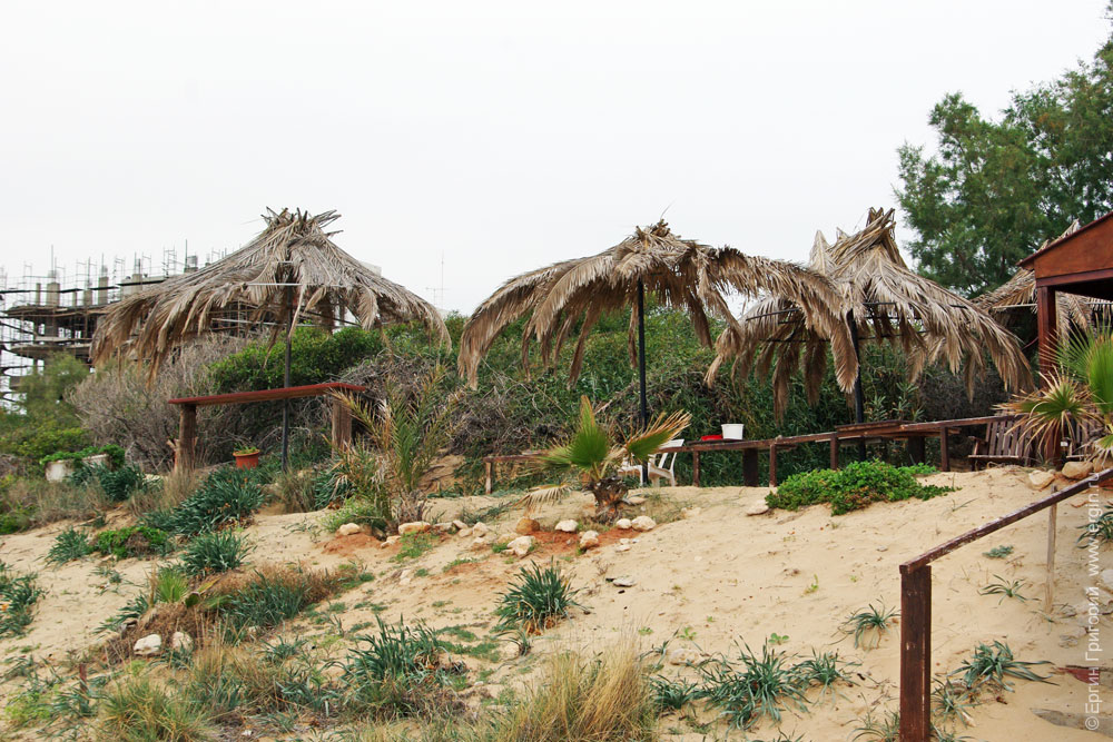 Взъерошенные зонтики на пустынном пляже в Айя-Напе