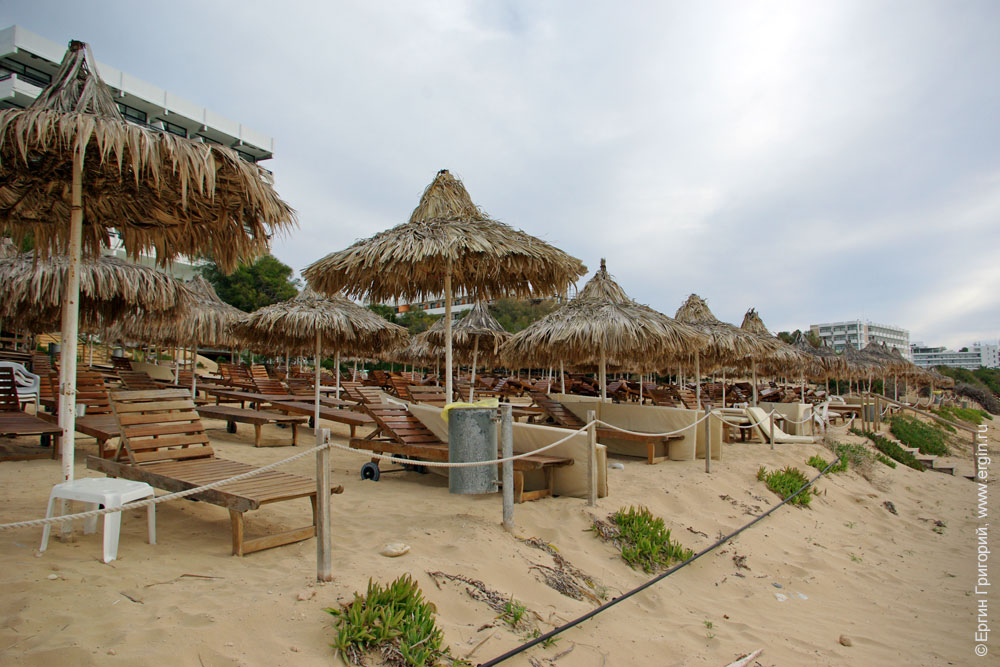 Нескончаемые ряды лежаков и пляжных зонтиков без людей в Айя-Напе