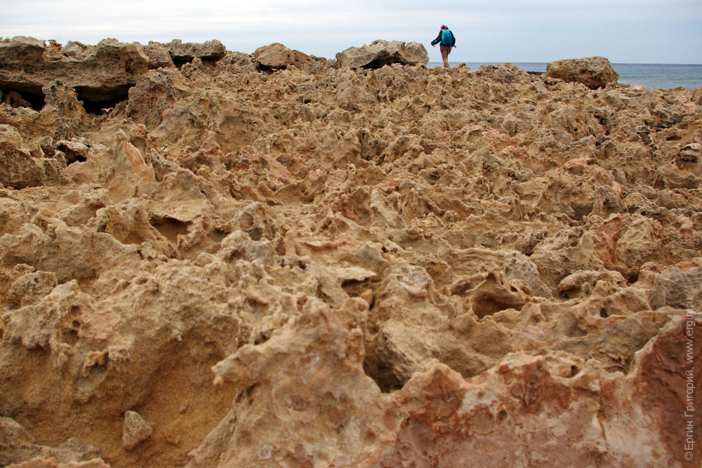 Колючий песчанник берега Средиземного моря на Кипре