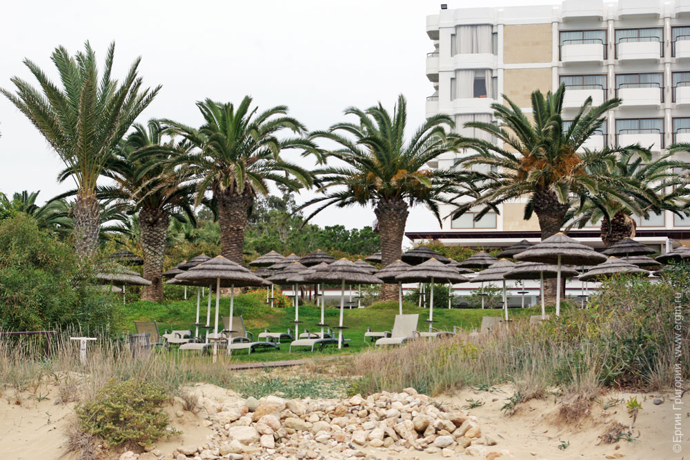 Аккуратные пляжные зонтики под пальмами на Кипре