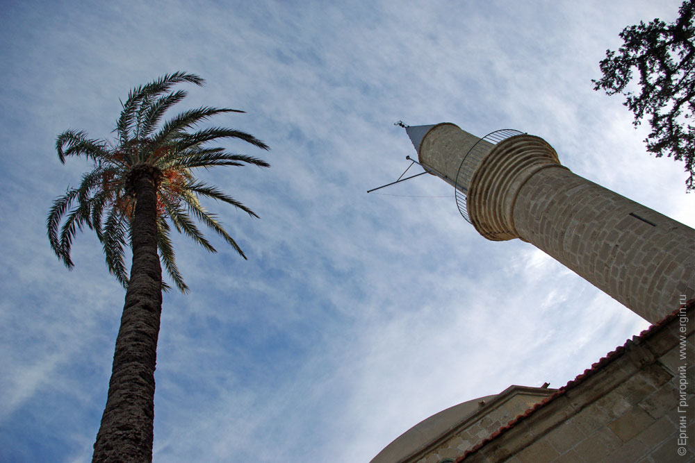 Башня мечети Хала Султан Текке и пальма
