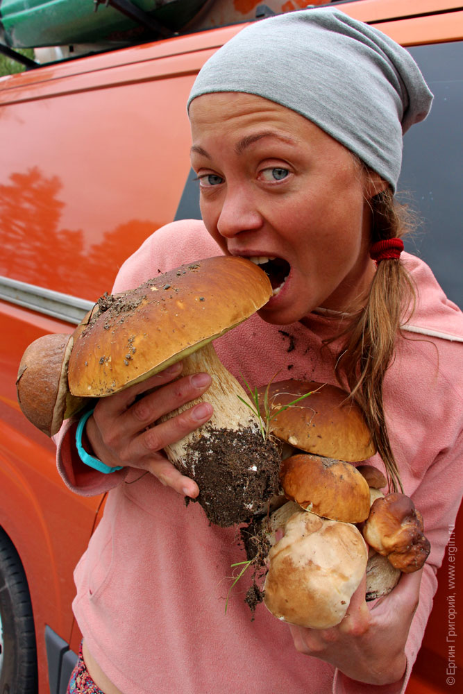 Девушка кусает охапку белых грибов в Финляндии
