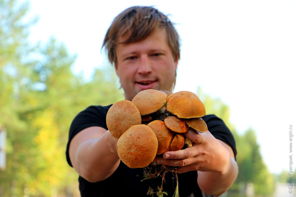 Александр Митенев держит охапку красных грибов собранных в Лиексе