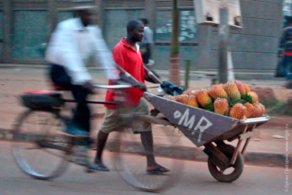 Негр с тачкой оранжевых ананасов Кампала