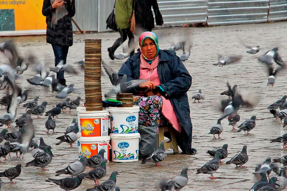 Турецкая женщина кормит голубей