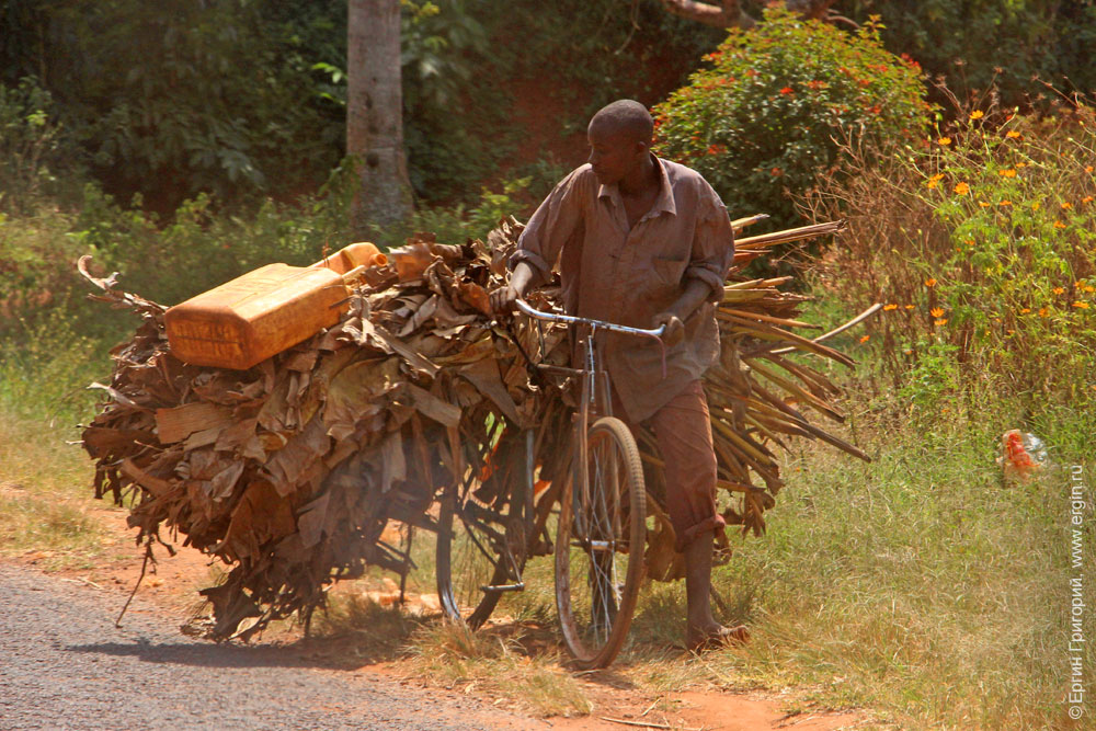 Перегруженный велосипед в АФрике Уганда