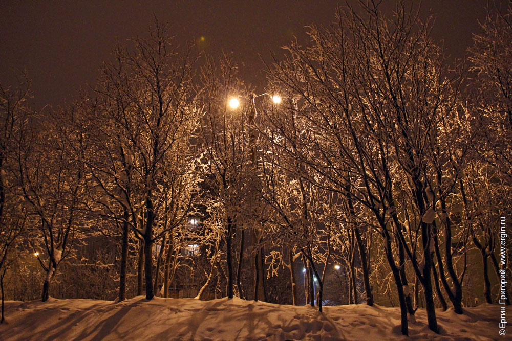 Ночной Кировск деревья в снегу свет фонарей