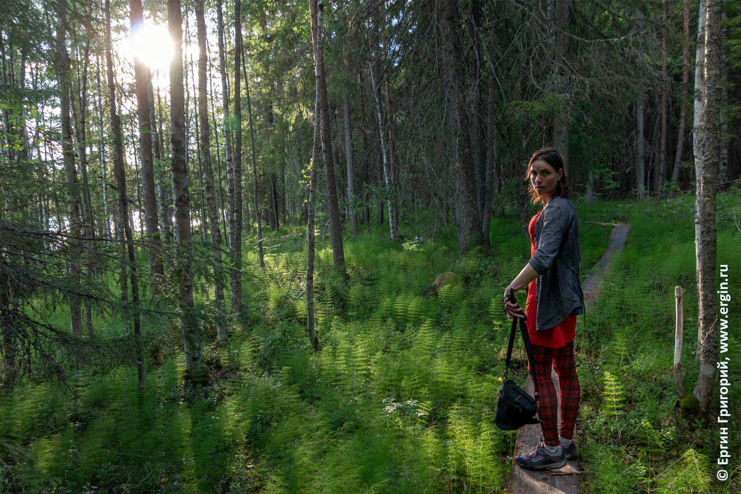 Финские деревянные тропинки игра света и тени в Лиексе