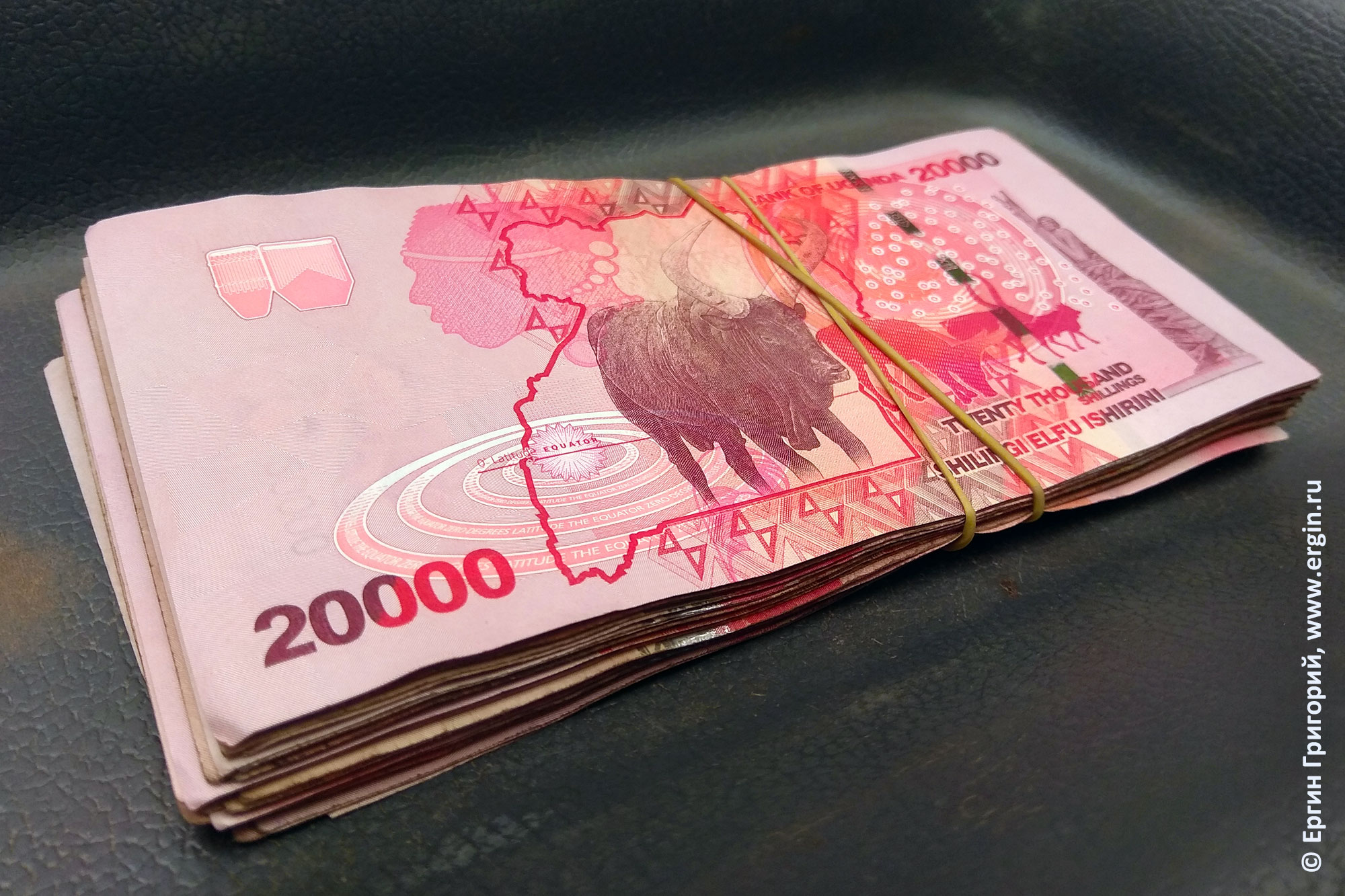 Угандийские шиллинги пачка денег Уганды