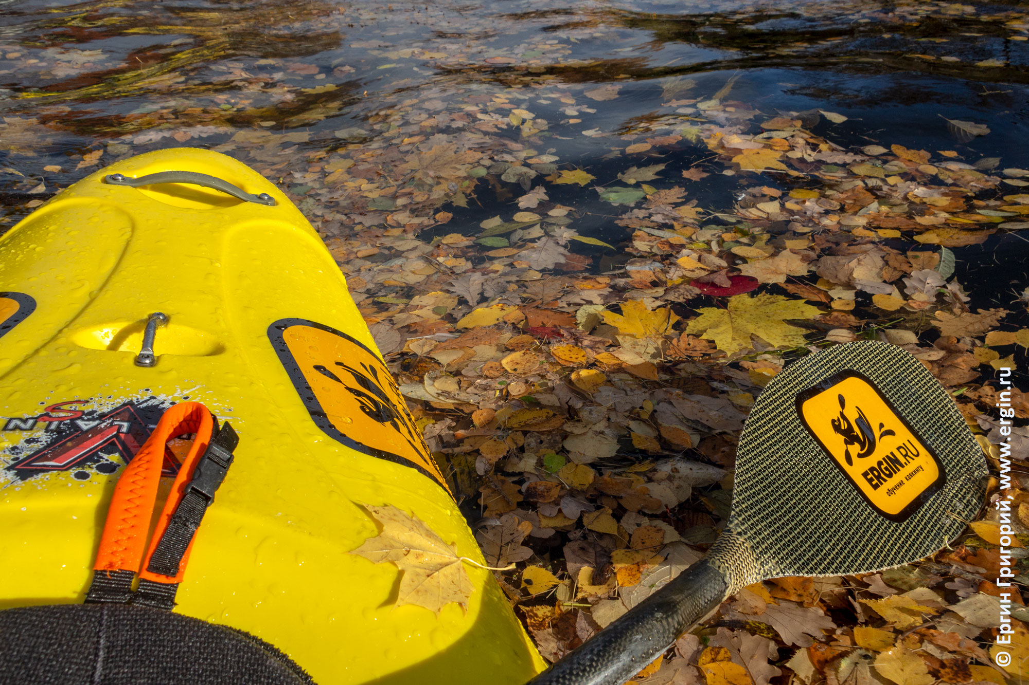 Весло и каяк над желтой листвой в воде Большого канала Каменного острова Санкт-Петербурга