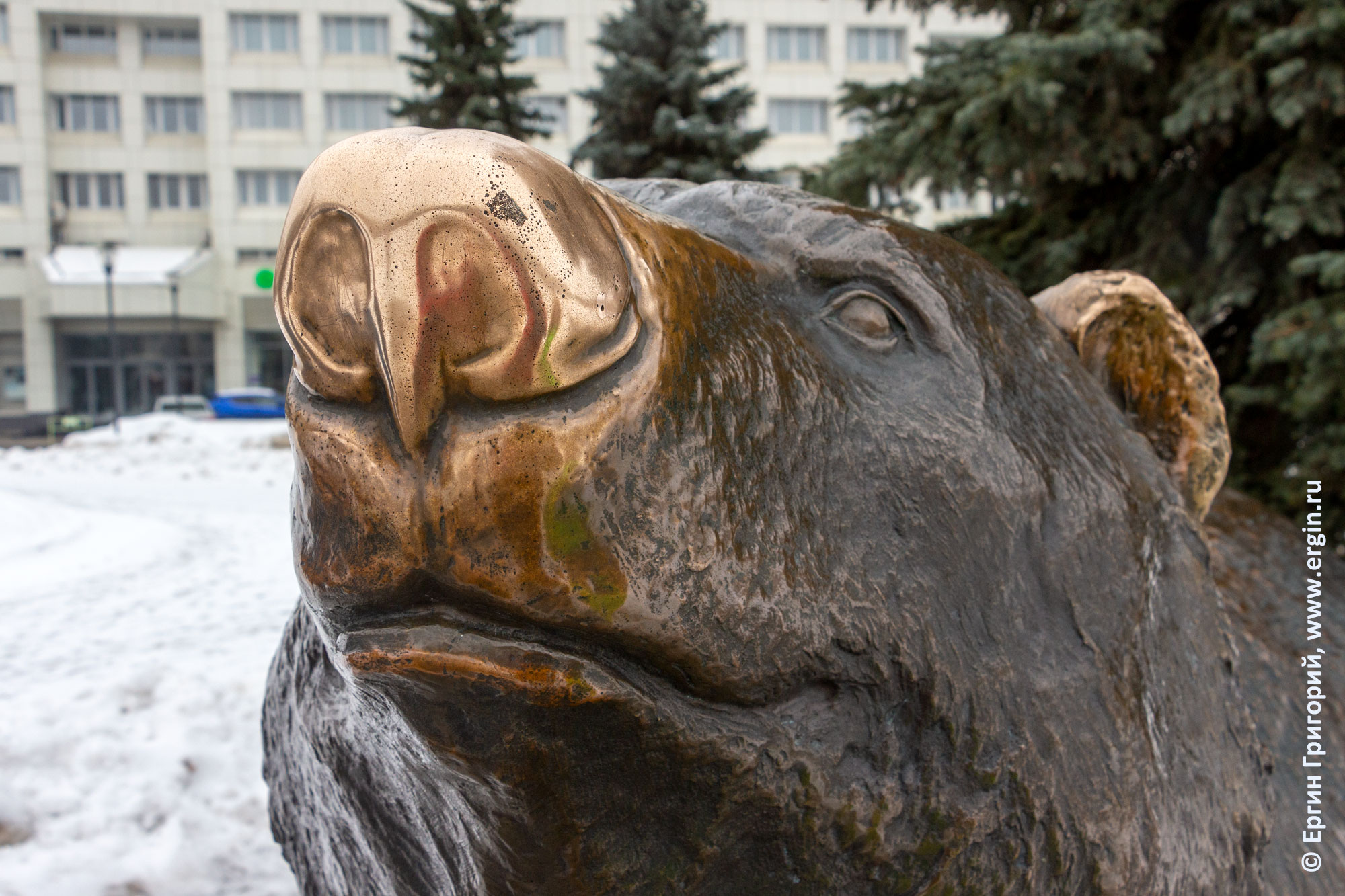 Нос скульптуры медведя в Перми