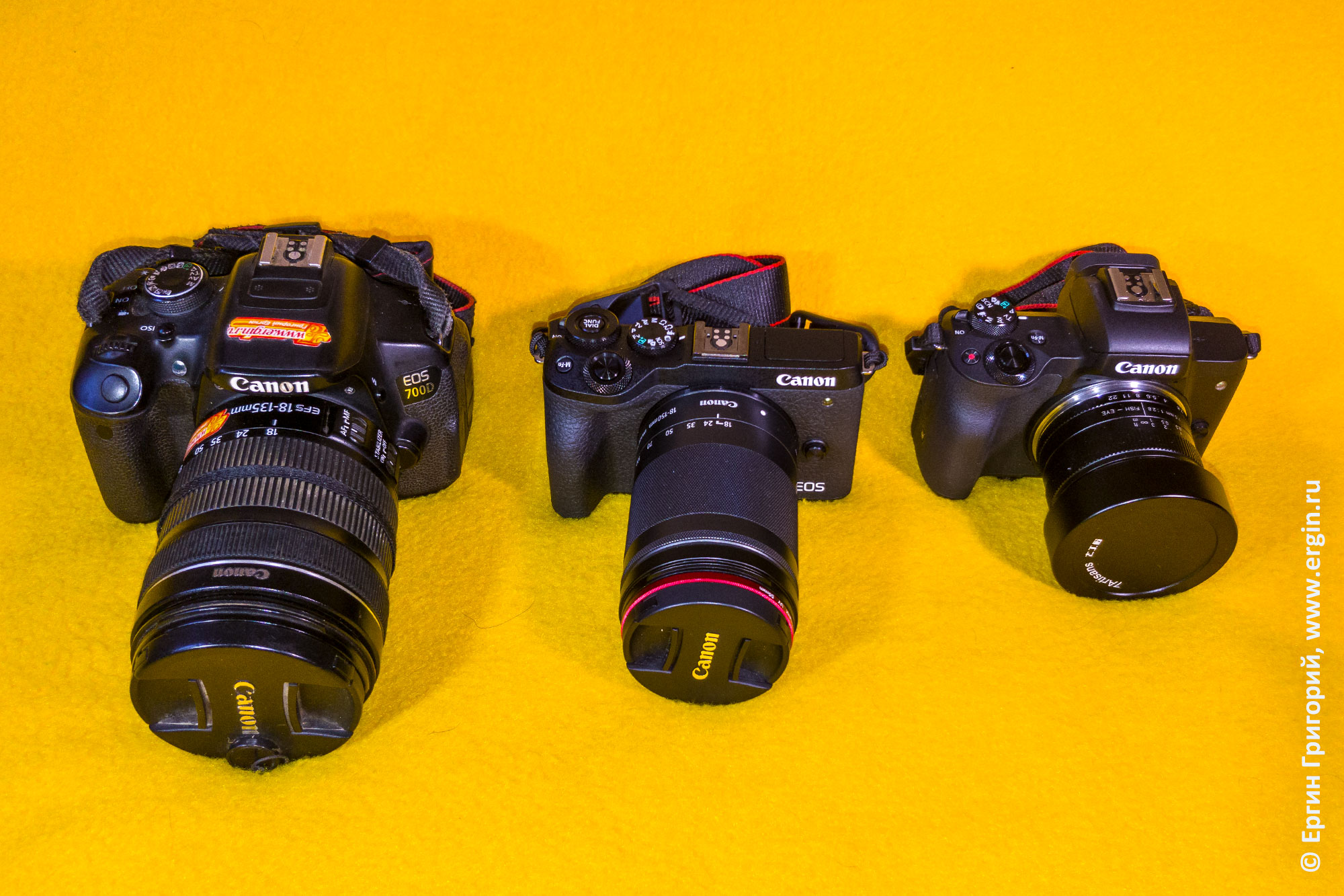 Фотоаппараты (слева направо) Canon EOS 700D, Canon EOS M6 Mark 2, Canon EOS M50