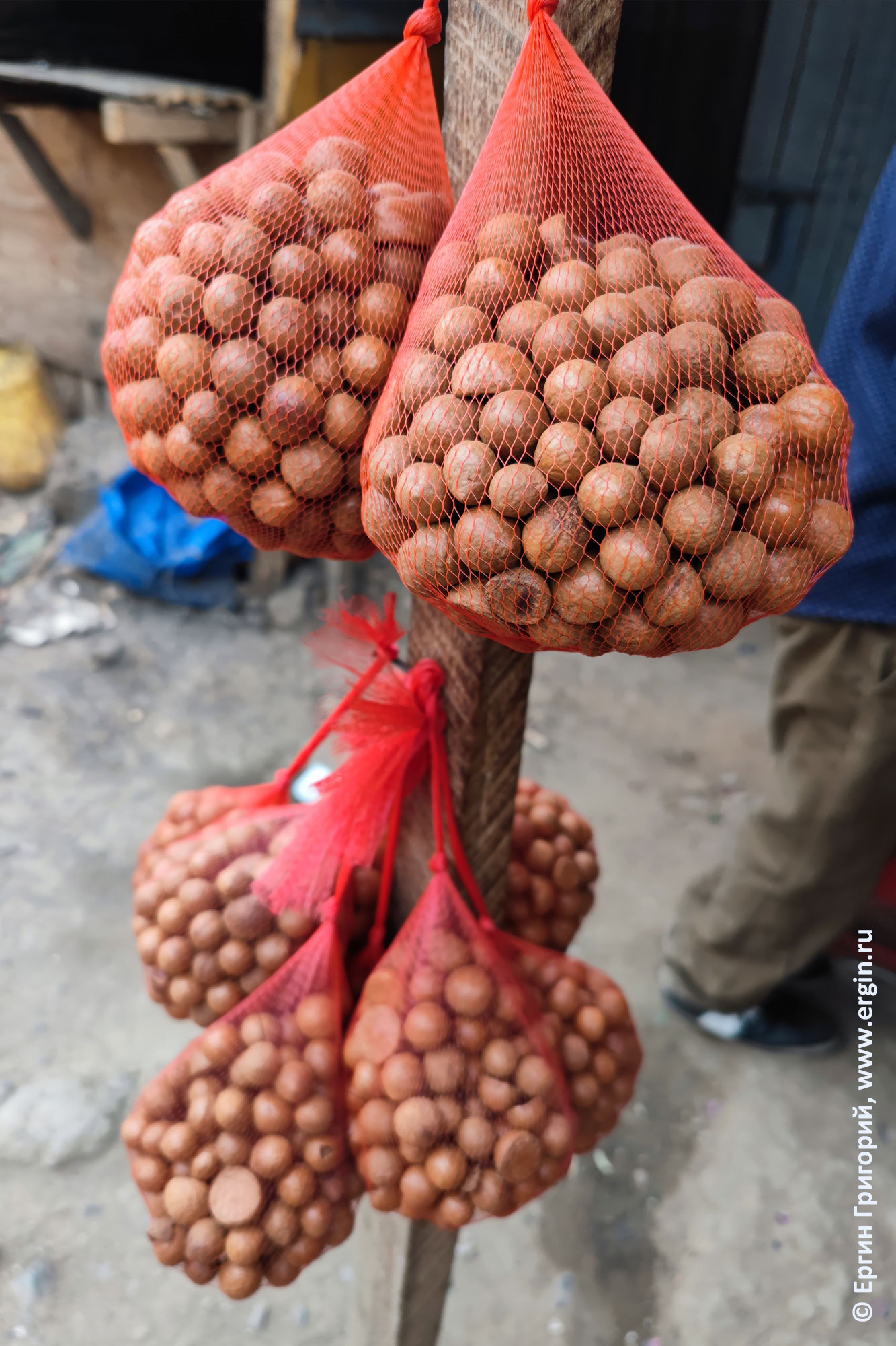 Орехи макадамия, Кения