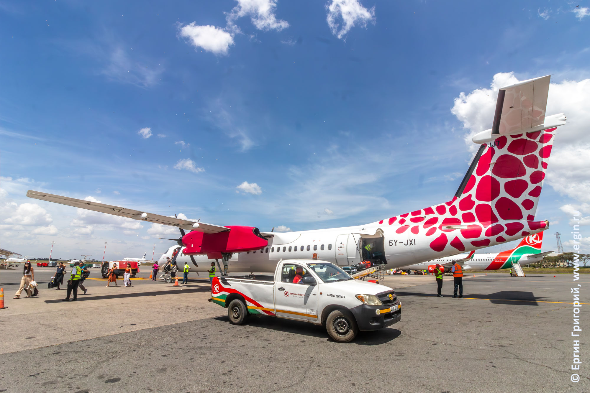 Раскраска фюзеляжа самолета Диани-Найроби местных авиалиний Кении
